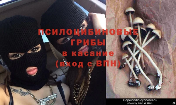 наркотики Баксан