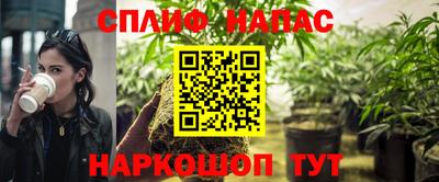 крисы Малгобек