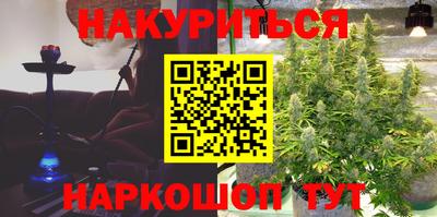 крисы Малгобек