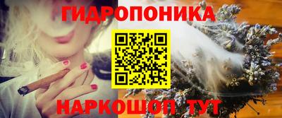 гидропоника Мариинск