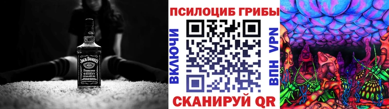 OMG ссылки  Лениногорск  Псилоцибиновые грибы мицелий 