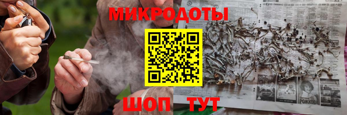 Галлюциногенные грибы Cubensis Лениногорск