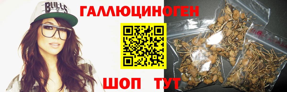 Псилоцибиновые грибы мицелий  Вход с VPN  купить наркоту  Лениногорск 